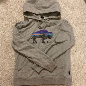 Patagonia Gray and Purple Hoodie with Buffalo Graphic